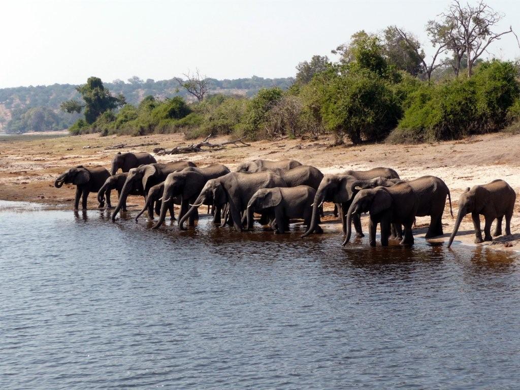 Best of Botswana - [9 Days]