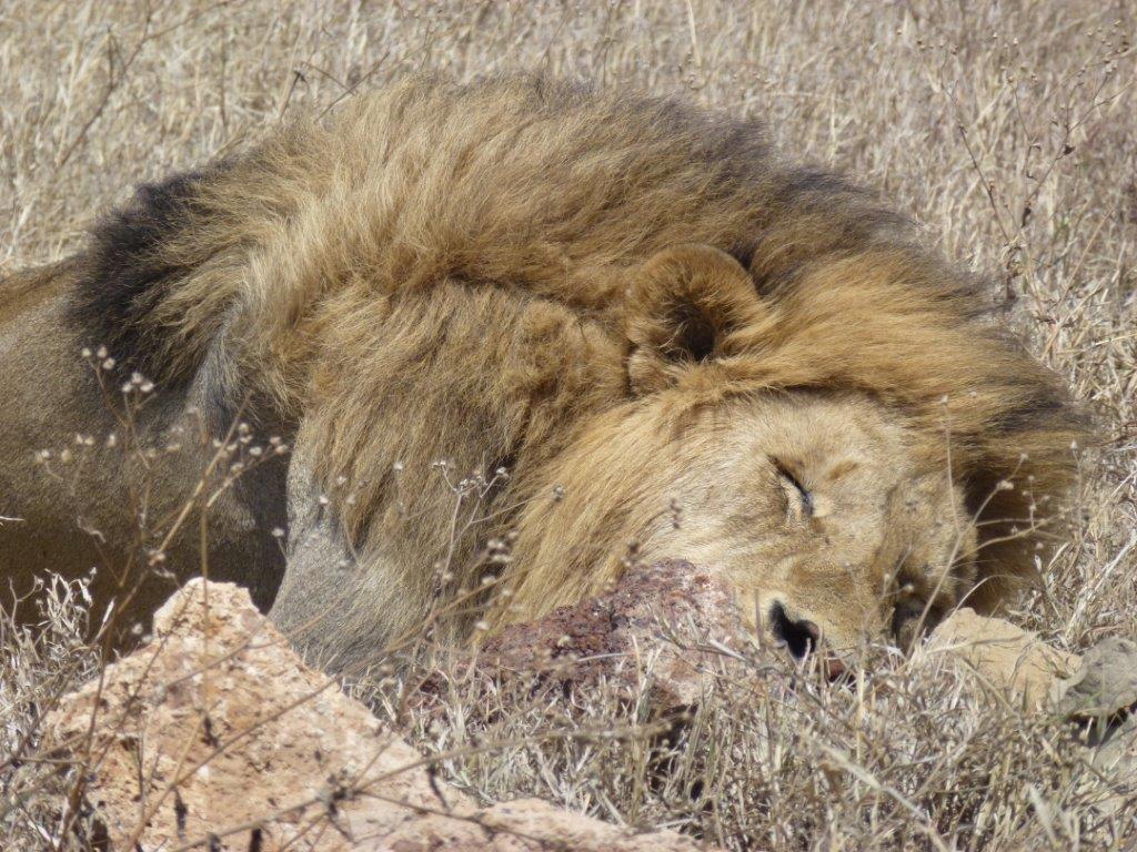 Best of Tanzania - [10 Days]