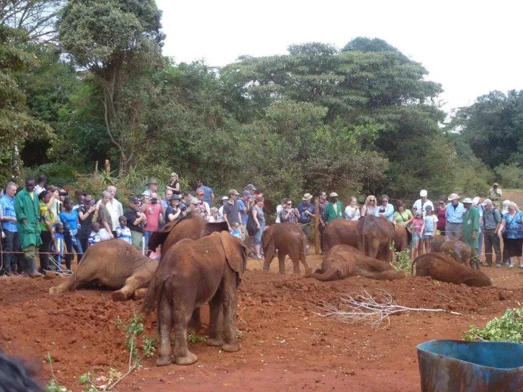 Experience Nairobi - [4 to 12 Hours]