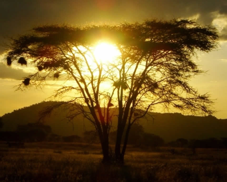 Kenya Action Week 1 - [6 Days]